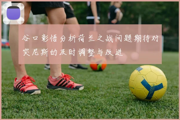 谷口彰悟分析荷兰之战问题期待对突尼斯的及时调整与改进