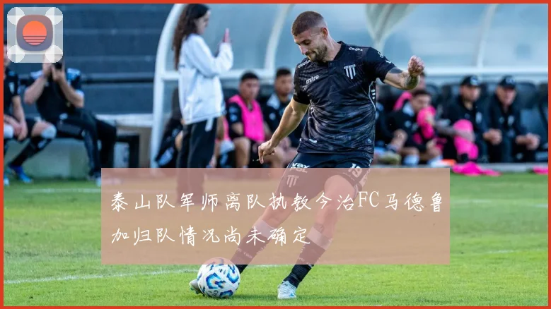 泰山队军师离队执教今治FC马德鲁加归队情况尚未确定