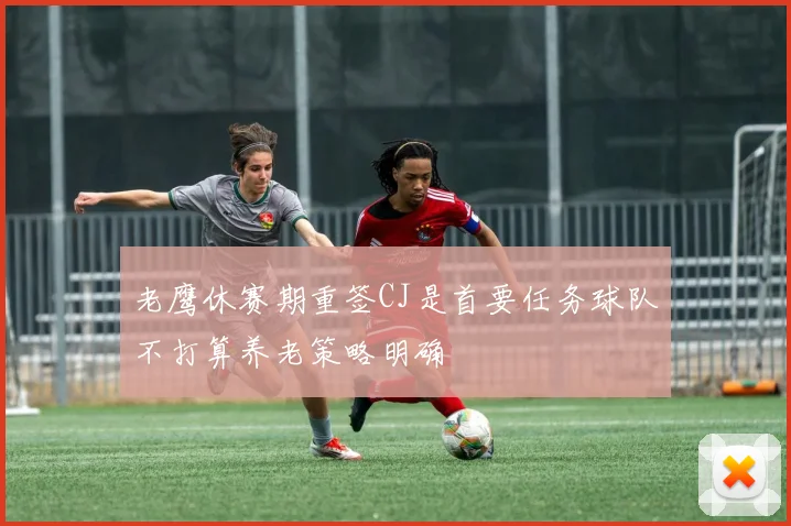 老鹰休赛期重签CJ是首要任务球队不打算养老策略明确