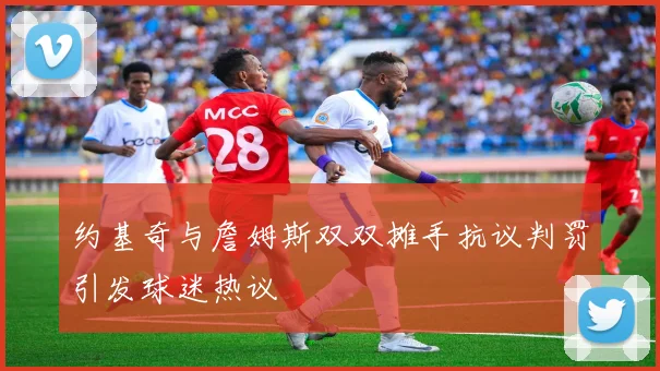 约基奇与詹姆斯双双摊手抗议判罚引发球迷热议