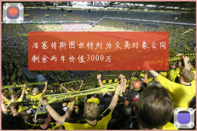 活塞将斯图尔特列为交易对象合同剩余两年价值3000万